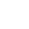 Social icon 2
