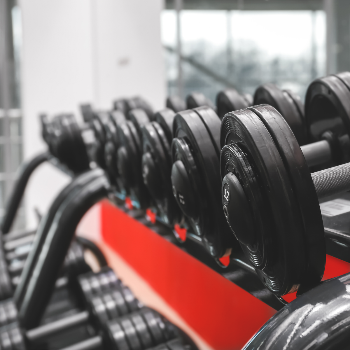 Hit The Weights