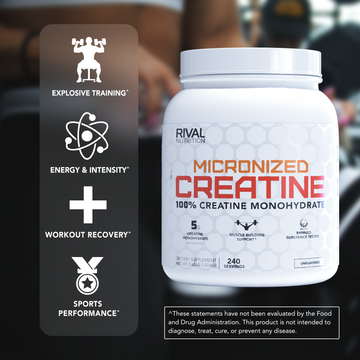 Micronized Creatine thumbnail 5