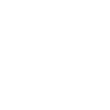 Social icon 5